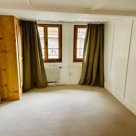 Charming Promenade Palace View 160m2 Gstaad